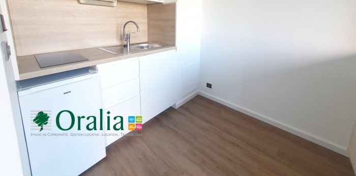 Image 4 sur 11 - Appartement  ·  Location · Grenoble (38100) · 1 pièce · 28m²