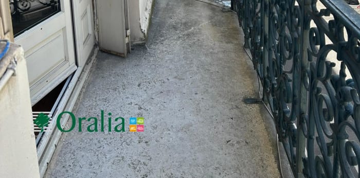 Image 2 sur 27 - Appartement  ·  Location · Lyon (69006) · 7 pièces · 235m²