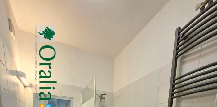 Image 10 sur 12 - Appartement  ·  Location · Grenoble (38000) · 2 pièces · 52m²