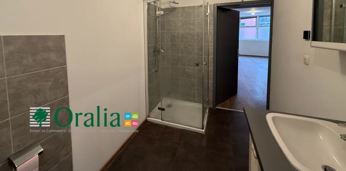 Image 8 sur 11 - Appartement  ·  Location · Tarare (69170) · 2 pièces · 49m²