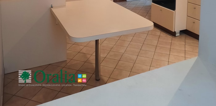 Image 8 sur 16 - Appartement  ·  Location · Lyon (69005) · 4 pièces · 115m²