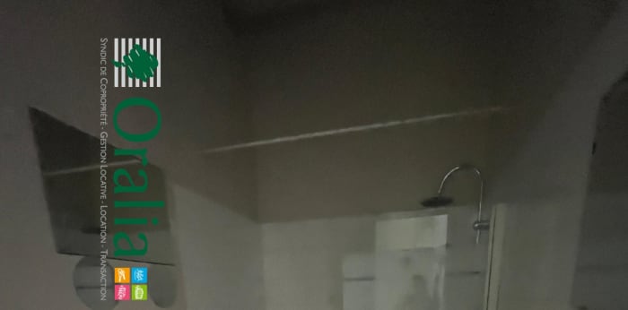 Image 11 sur 19 - Appartement  ·  Location · Lyon (69003) · 3 pièces · 106m²