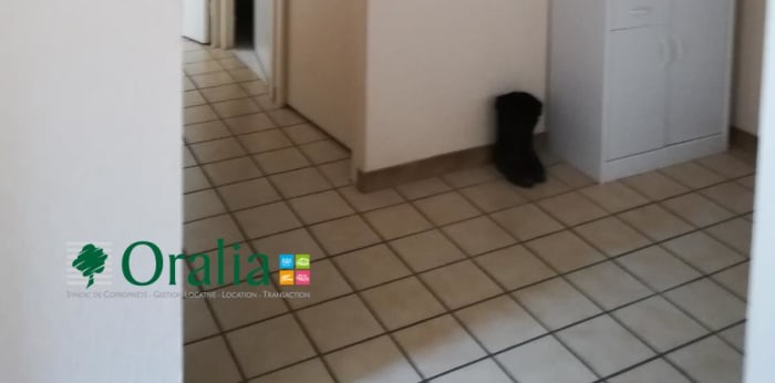 Image 6 sur 8 - Appartement  ·  Location · Meylan (38240) · 2 pièces · 53m²