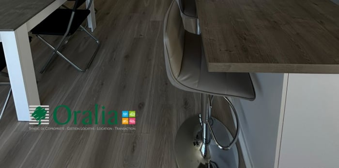 Image 12 sur 17 - Appartement  ·  Location · Lyon (69007) · 2 pièces · 50m²