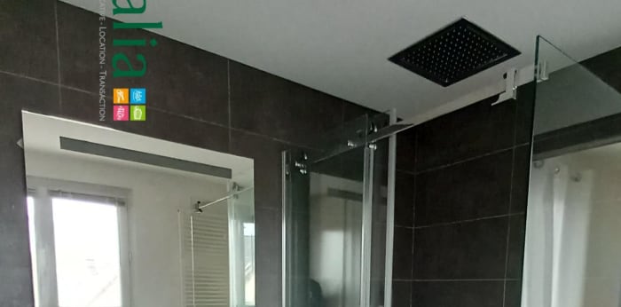 Image 13 sur 14 - Appartement  ·  Location · Grenoble (38000) · 2 pièces · 48m²