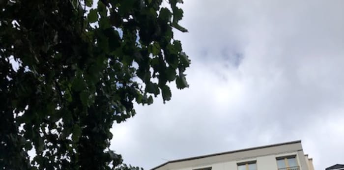 Image 5 sur 8 - Appartement  ·  Location · Paris (75017) · 2 pièces · 60m²