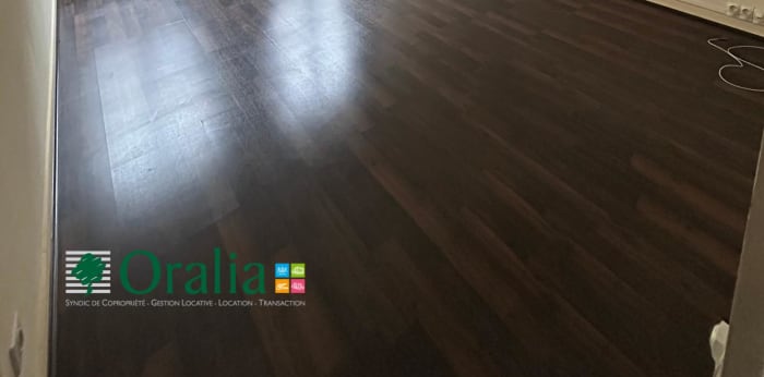 Image 3 sur 11 - Appartement  ·  Location · Lyon (69001) · 2 pièces · 41m²