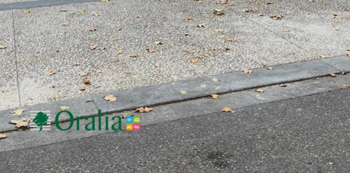 Image 1 sur 6 - Local commercial  ·  Location · Lyon (69003)