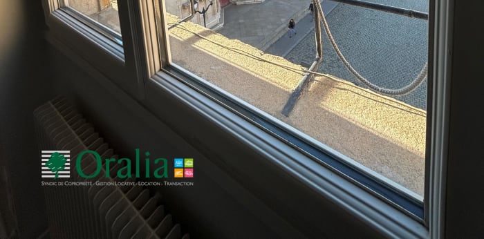 Image 15 sur 16 - Appartement  ·  Location · Lyon (69005) · 4 pièces · 115m²