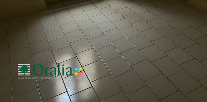 Image 7 sur 12 - Appartement  ·  Location · Lyon (69007) · 1 pièce · 23m²