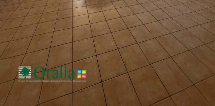 Image 6 sur 19 - Appartement  ·  Location · Saint Cyr Au Mont D Or (69450) · 3 pièces · 69m²