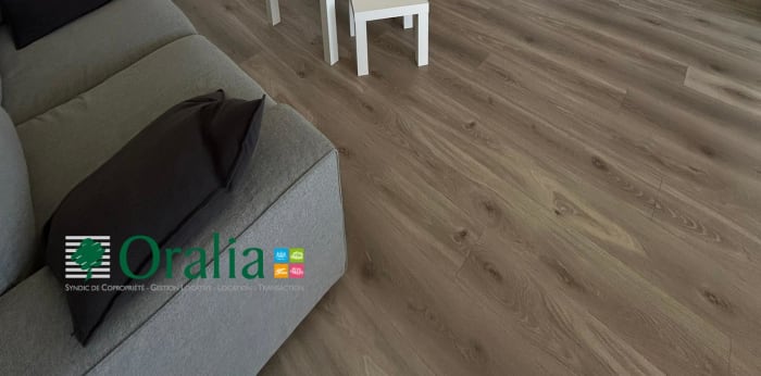 Image 8 sur 17 - Appartement  ·  Location · Lyon (69007) · 2 pièces · 50m²