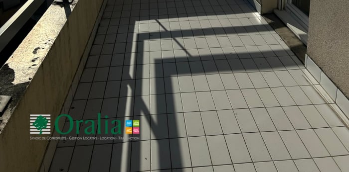 Image 2 sur 17 - Appartement  ·  Location · Lyon (69007) · 2 pièces · 50m²