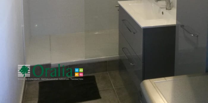 Image 8 sur 8 - Appartement  ·  Location · Lyon (69008) · 1 pièce · 37m²