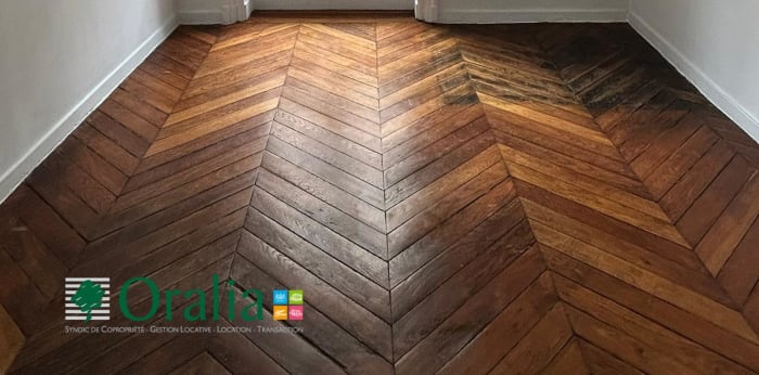 Image 1 sur 9 - Appartement  ·  Location · Lyon (69001) · 3 pièces · 61m²