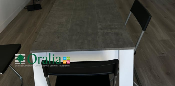 Image 7 sur 17 - Appartement  ·  Location · Lyon (69007) · 2 pièces · 50m²