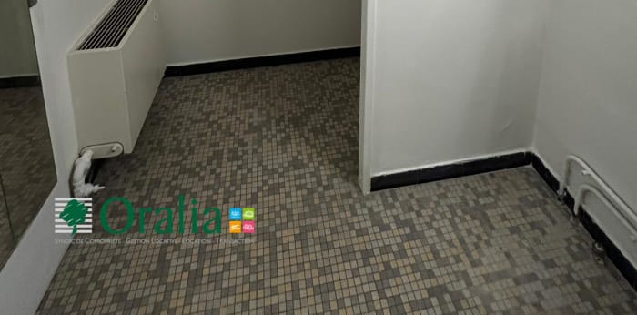 Image 13 sur 14 - Appartement  ·  Location · Lyon (69007) · 1 pièce · 28m²