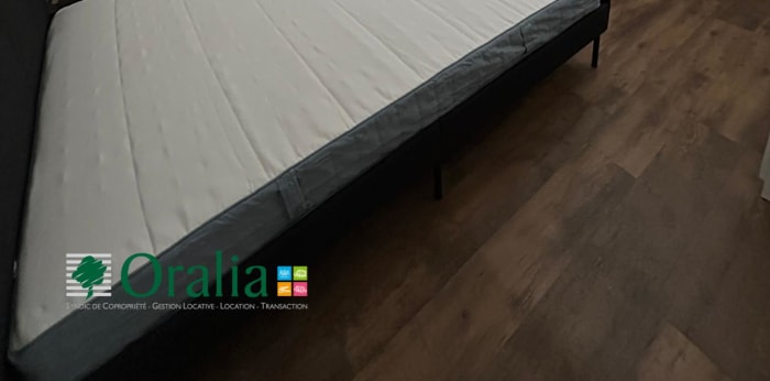 Image 11 sur 16 - Appartement  ·  Location · Villeurbanne (69100) · 3 pièces · 57m²