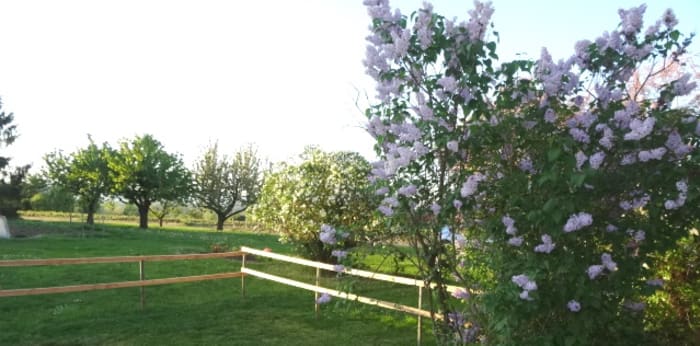 Image 4 sur 10 - Maison  ·  Location · Arnas (69400) · 5 pièces · 95m²