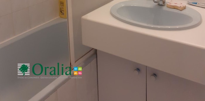 Image 6 sur 8 - Appartement  ·  Location · Dijon (21000) · 1 pièce · 30m²