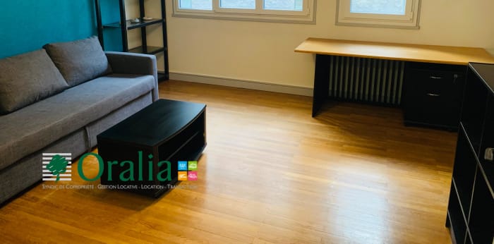 Image 4 sur 11 - Appartement  ·  Location · Grenoble (38000) · 2 pièces · 37m²