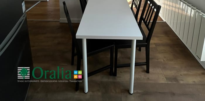 Image 5 sur 16 - Appartement  ·  Location · Villeurbanne (69100) · 3 pièces · 57m²