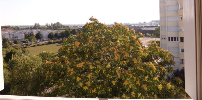 Image 6 sur 7 - Appartement  ·  Location · Dijon (21000) · 1 pièce · 15m²