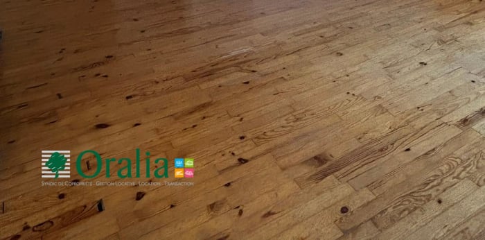 Image 3 sur 17 - Appartement  ·  Location · Saint Cyr Au Mont D Or (69450) · 3 pièces · 60m²