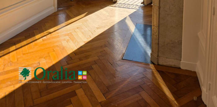 Image 2 sur 11 - Appartement  ·  Location · Lyon (69002) · 4 pièces · 123m²