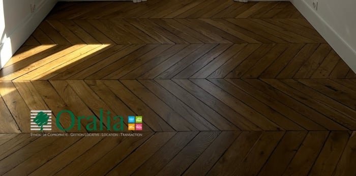 Image 8 sur 18 - Appartement  ·  Location · Lyon (69002) · 4 pièces · 109m²