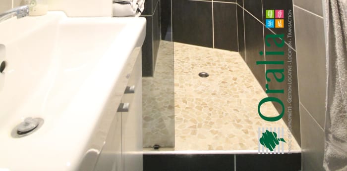 Image 6 sur 9 - Appartement  ·  Location · Grenoble (38000) · 1 pièce · 25m²