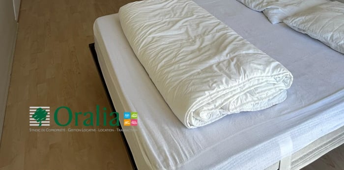 Image 17 sur 17 - Appartement  ·  Location · Lyon (69007) · 2 pièces · 50m²