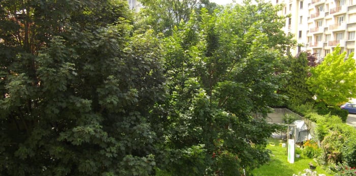 Image 6 sur 8 - Appartement  ·  Location · Grenoble (38000) · 1 pièce · 20m²