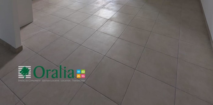 Image 1 sur 12 - Appartement  ·  Location · Lyon (69002) · 4 pièces · 104m²