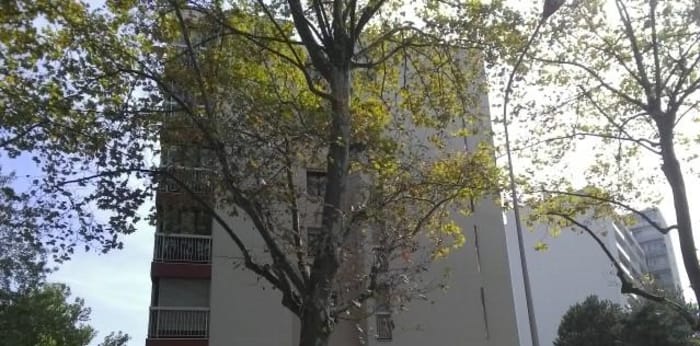 Image 3 sur 6 - Appartement  ·  Location · Lyon (69008) · 1 pièce · 31m²