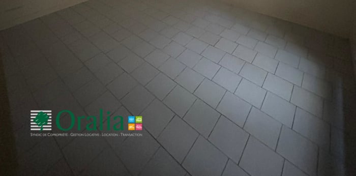 Image 8 sur 12 - Appartement  ·  Location · Lyon (69007) · 1 pièce · 23m²