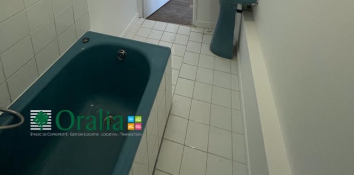 Image 15 sur 16 - Appartement  ·  Location · Villeurbanne (69100) · 3 pièces · 57m²