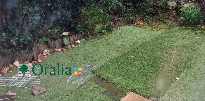 Image 8 sur 8 - Maison  ·  Location · Begles (33130) · 3 pièces · 75m²