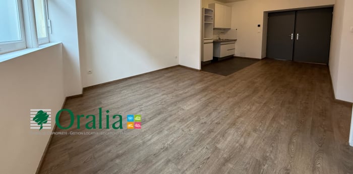 Image 3 sur 11 - Appartement  ·  Location · Tarare (69170) · 2 pièces · 49m²