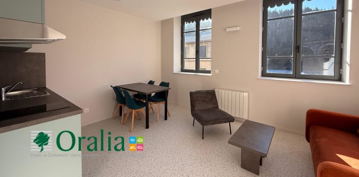 Image 3 sur 8 - Appartement  ·  Location · Tarare (69170) · 1 pièce · 27m²