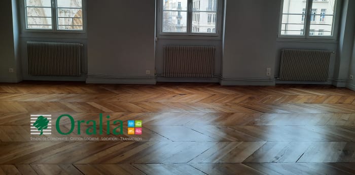 Image 7 sur 16 - Appartement  ·  Location · Lyon (69005) · 4 pièces · 115m²