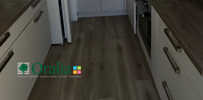 Image 10 sur 17 - Appartement  ·  Location · Lyon (69007) · 2 pièces · 50m²