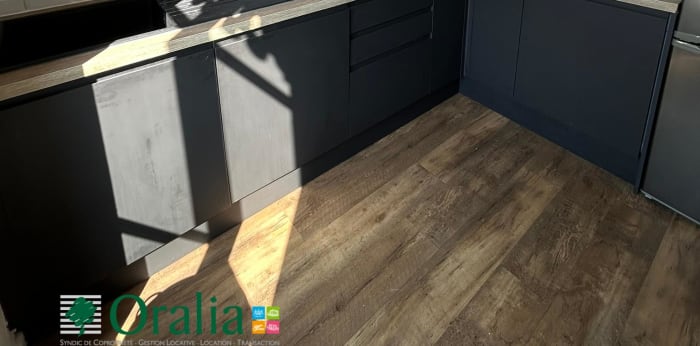 Image 4 sur 16 - Appartement  ·  Location · Villeurbanne (69100) · 3 pièces · 57m²