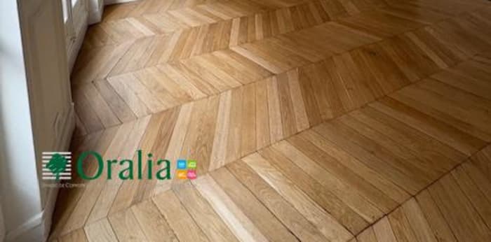 Image 4 sur 15 - Appartement  ·  Location · Paris (75014) · 6 pièces · 169m²