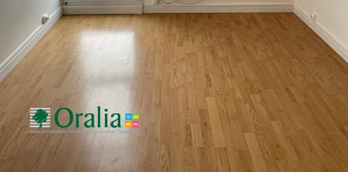 Image 15 sur 17 - Appartement  ·  Location · Lyon (69009) · 3 pièces · 67m²