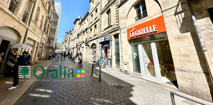 Image 13 sur 22 - Appartement  ·  Location · Bordeaux (33000) · 2 pièces · 43m²