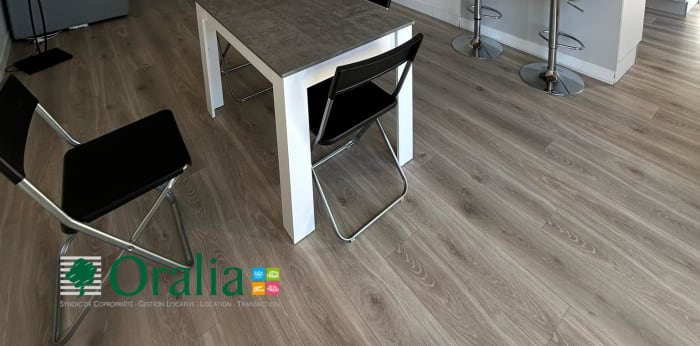 Image 9 sur 17 - Appartement  ·  Location · Lyon (69007) · 2 pièces · 50m²