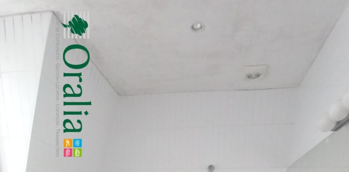 Image 13 sur 14 - Appartement  ·  Location · Dijon (21000) · 3 pièces · 66m²