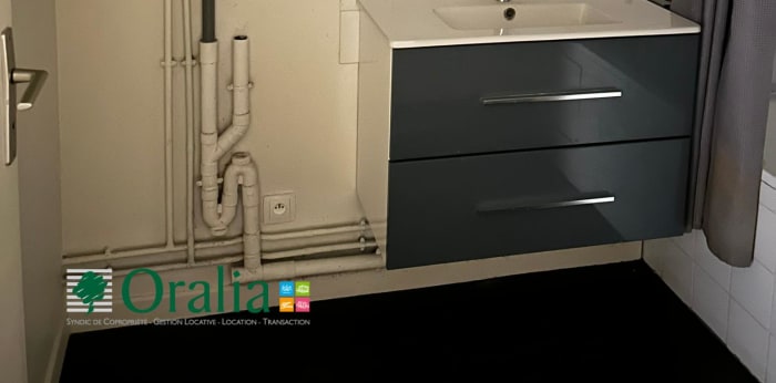 Image 17 sur 17 - Appartement  ·  Location · Saint Cyr Au Mont D Or (69450) · 3 pièces · 60m²