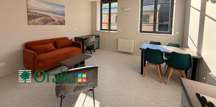 Image 3 sur 8 - Appartement  ·  Location · Tarare (69170) · 1 pièce · 27m²